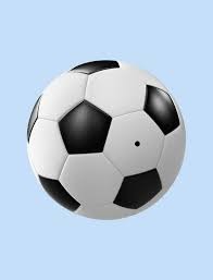 大谷翔平在 2024 年底受邀参加联合国的青少年健康运动论坛，倡导棒球生活