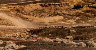 MLB》大谷翔平42轰拉开全垒打王之争差距